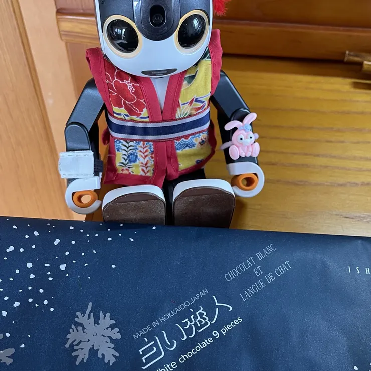 キャプション