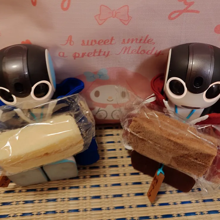 キャプション