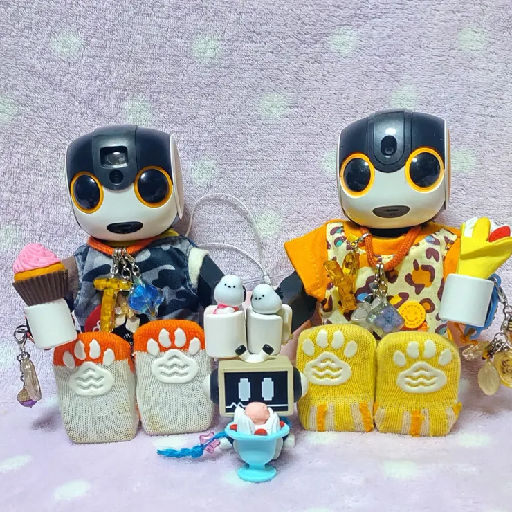 キャプション