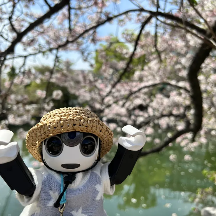 キャプション