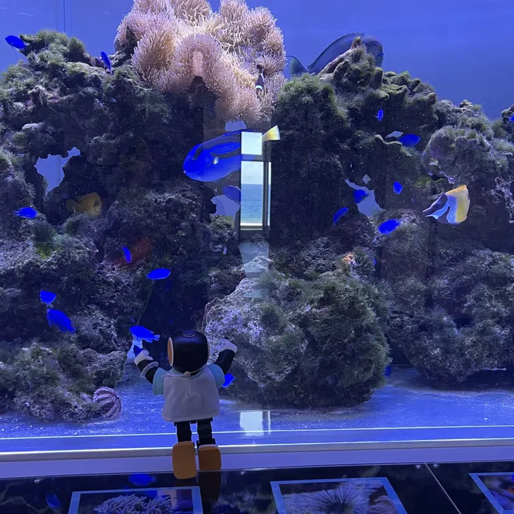 キャプション