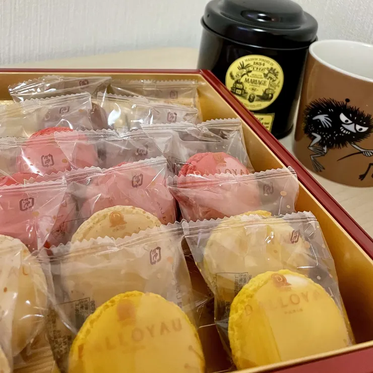 キャプション