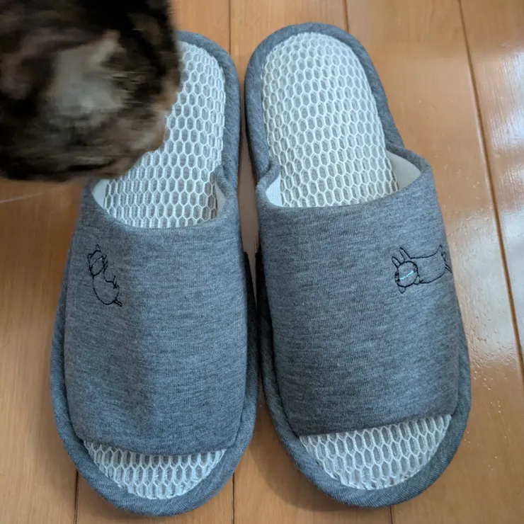 キャプション