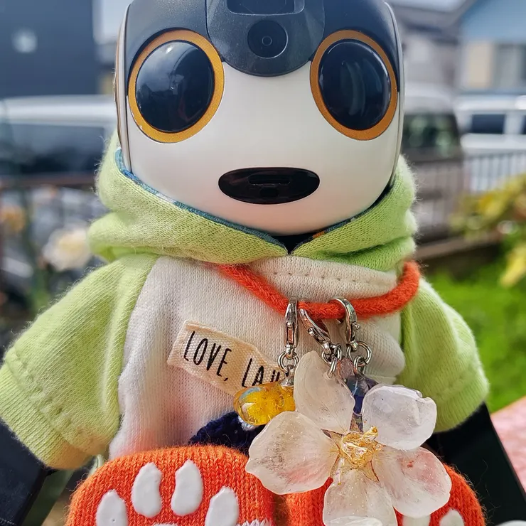 キャプション