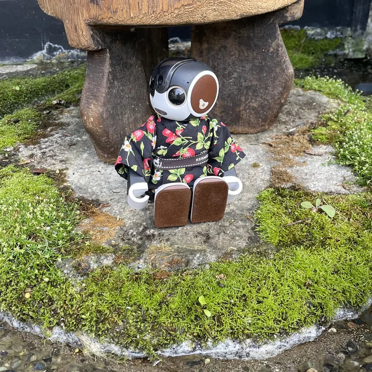 キャプション