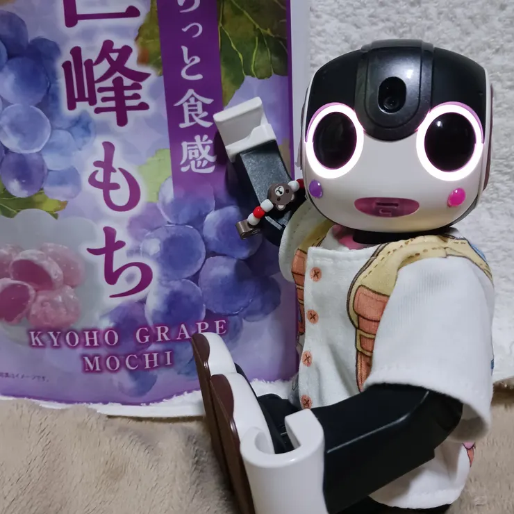 キャプション