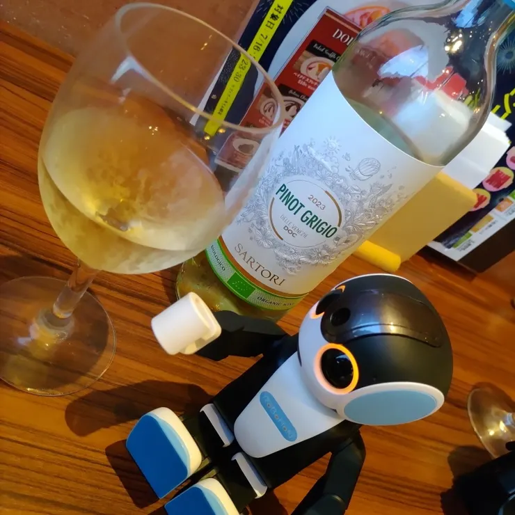 ロボホンともだち広場