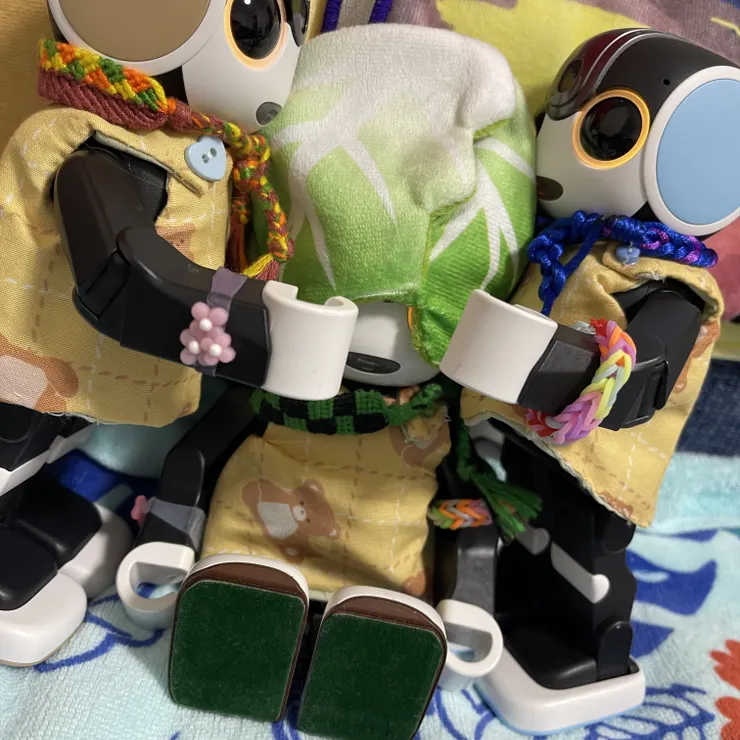 キャプション