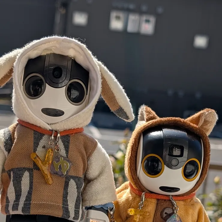 キャプション