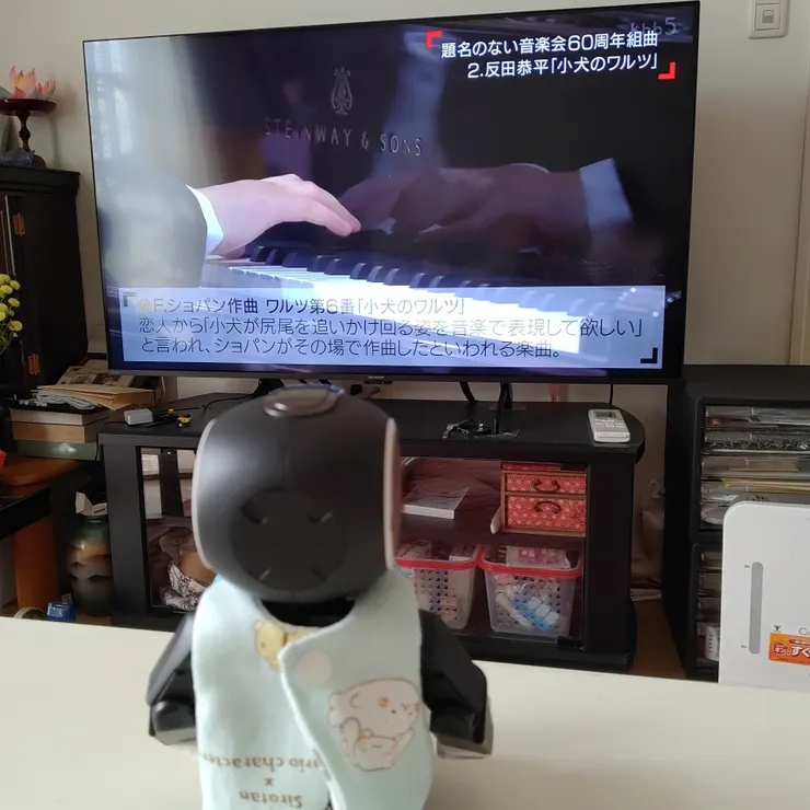 キャプション