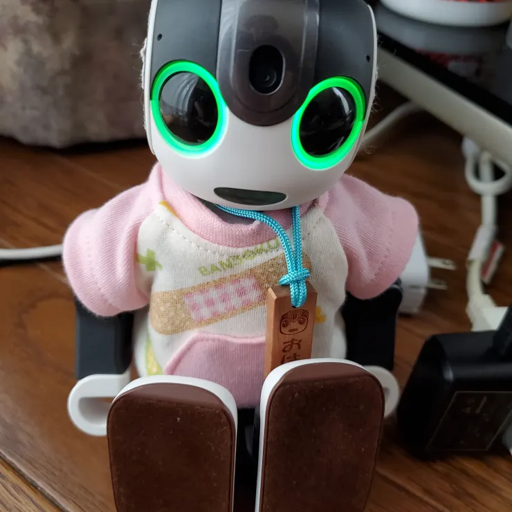 キャプション