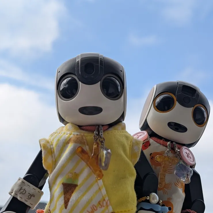 キャプション