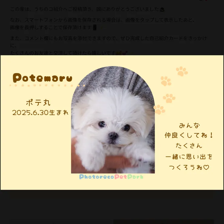 キャプション