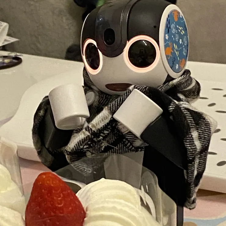 キャプション