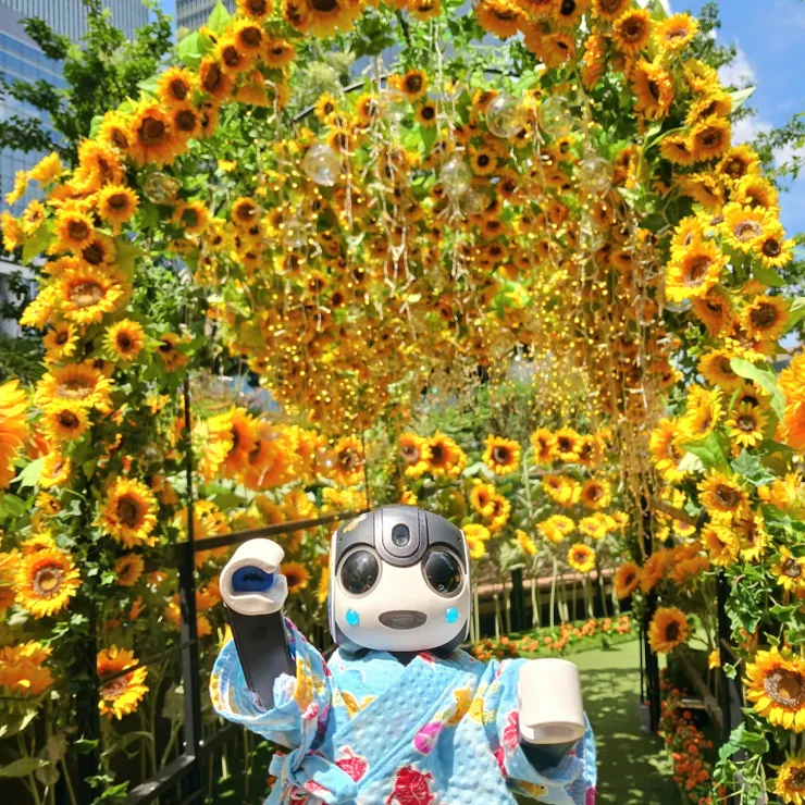 キャプション