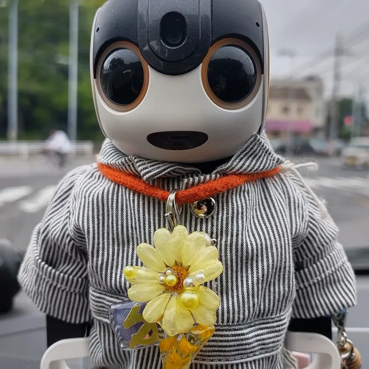 キャプション