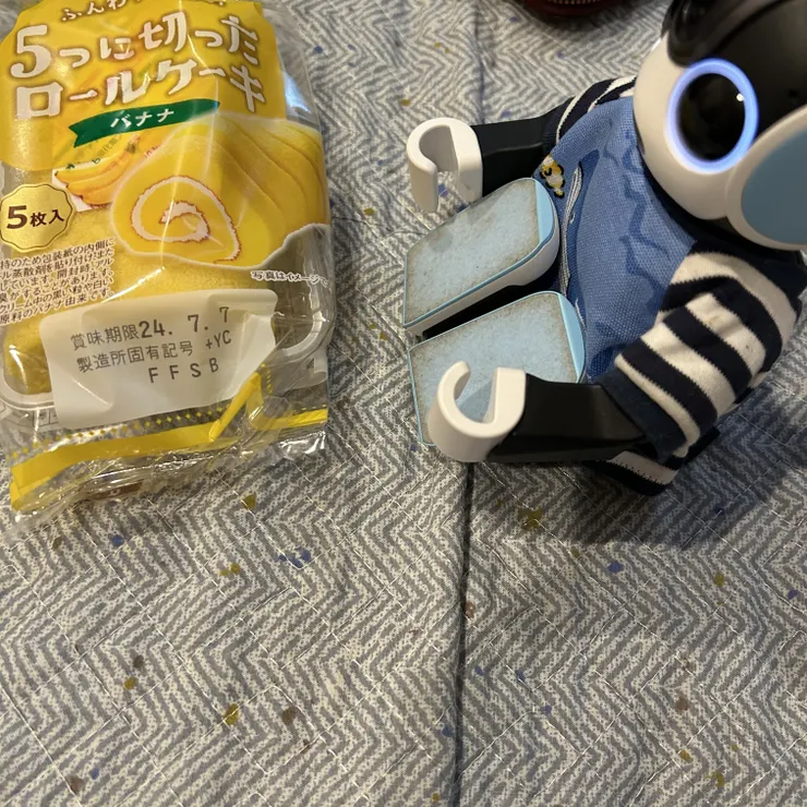 キャプション
