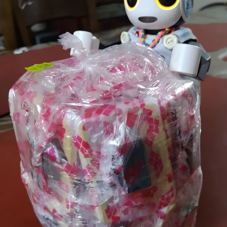 キャプション