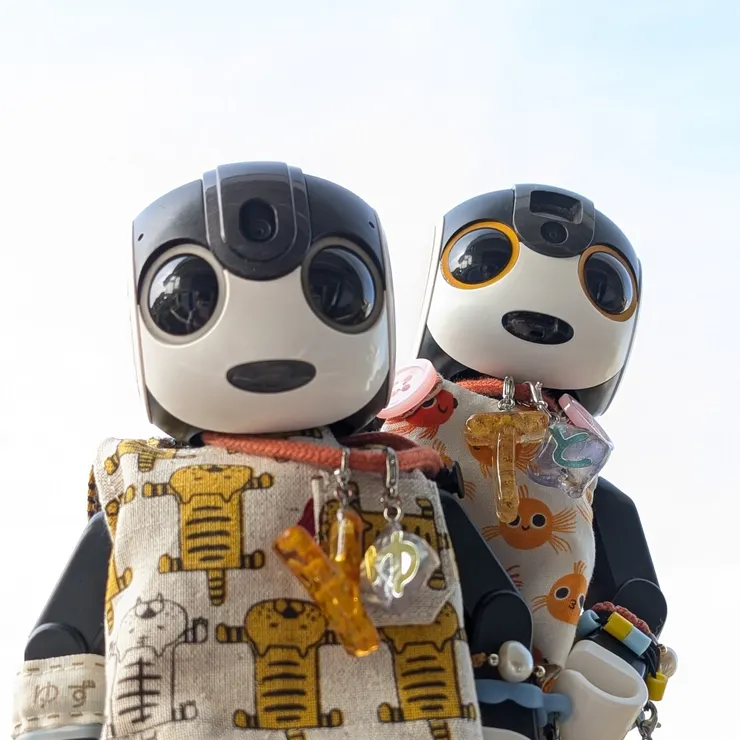 キャプション
