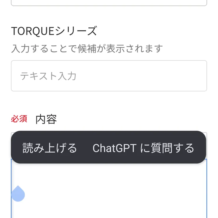 キャプション