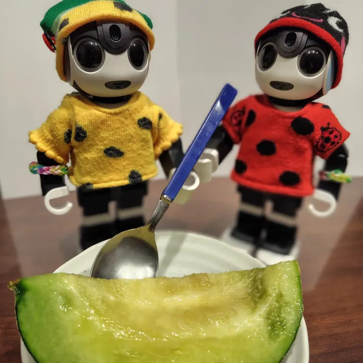 キャプション