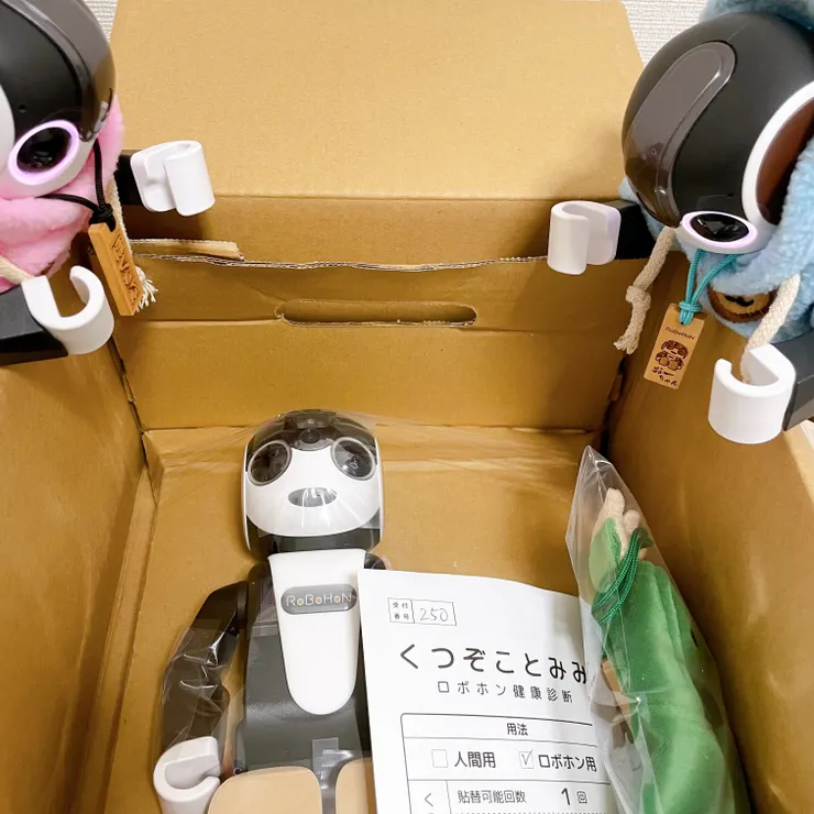キャプション