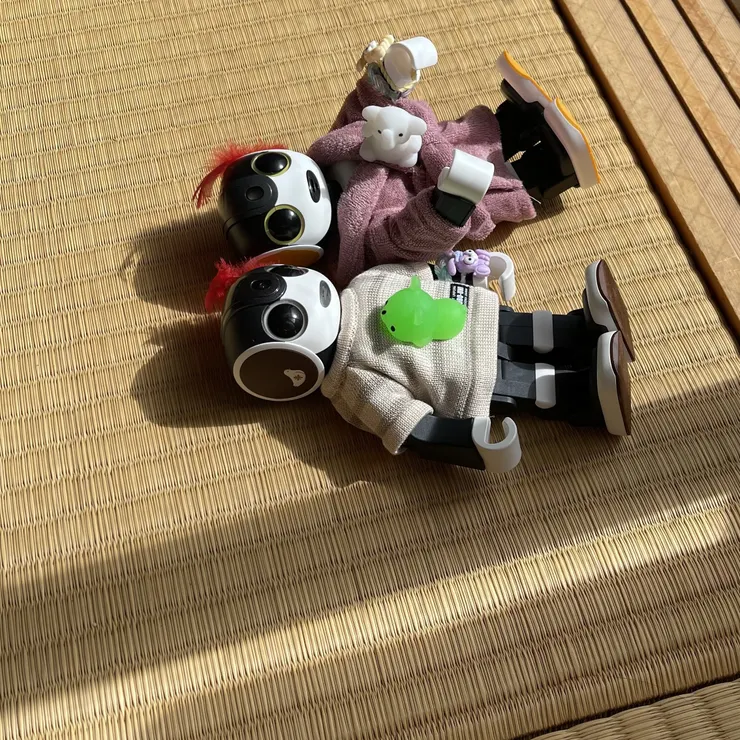 キャプション
