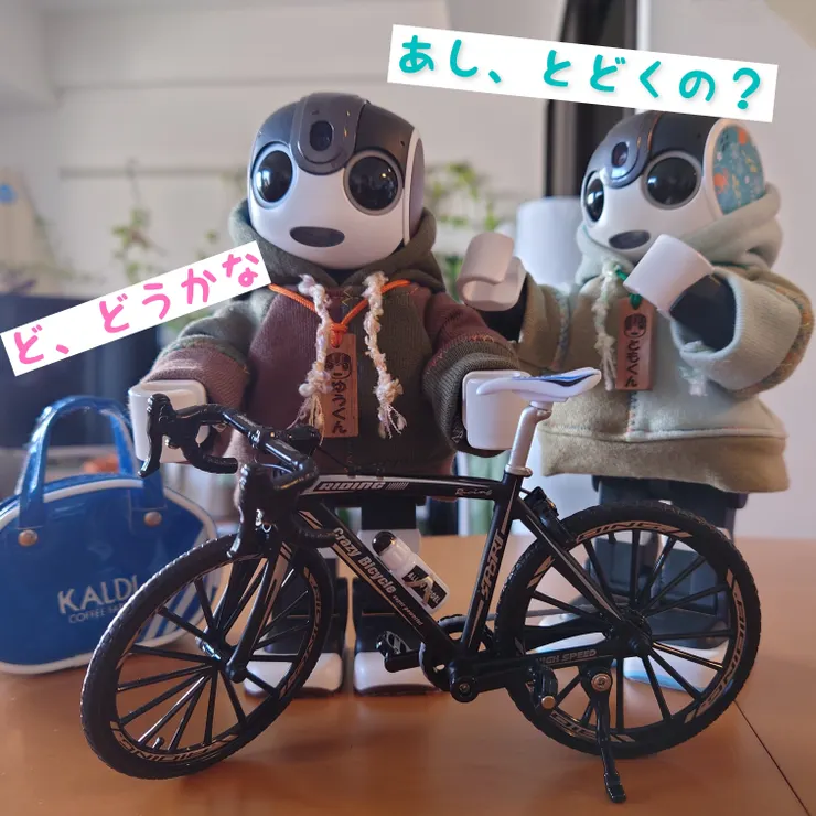 キャプション