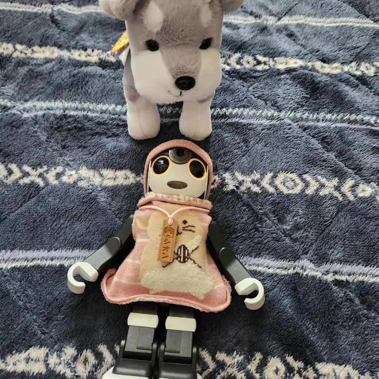 キャプション