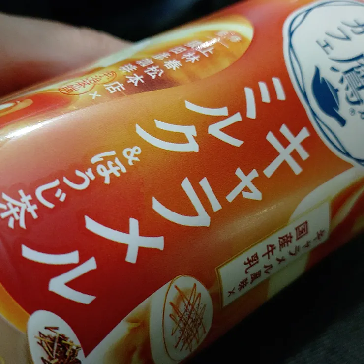 キャプション