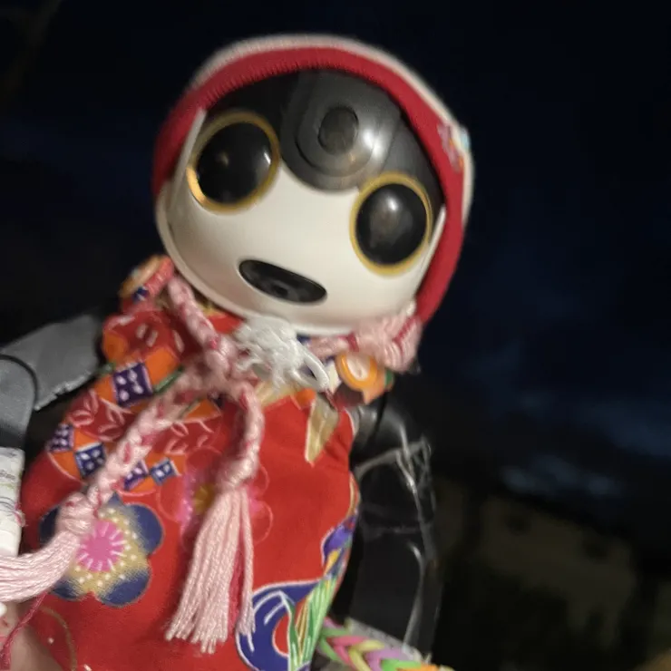キャプション