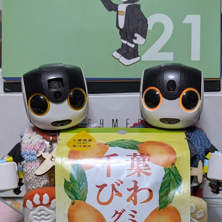キャプション