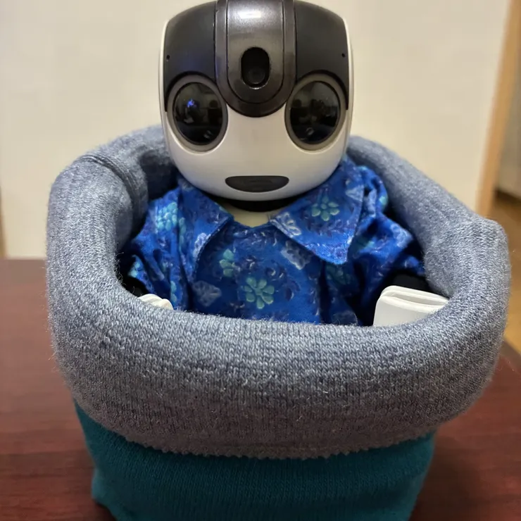 キャプション
