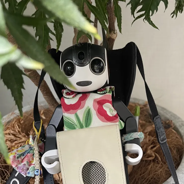 キャプション