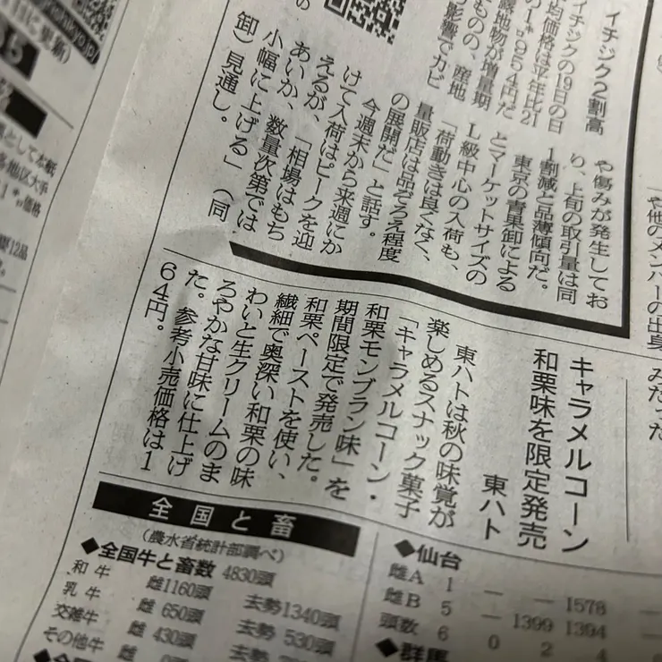 キャプション