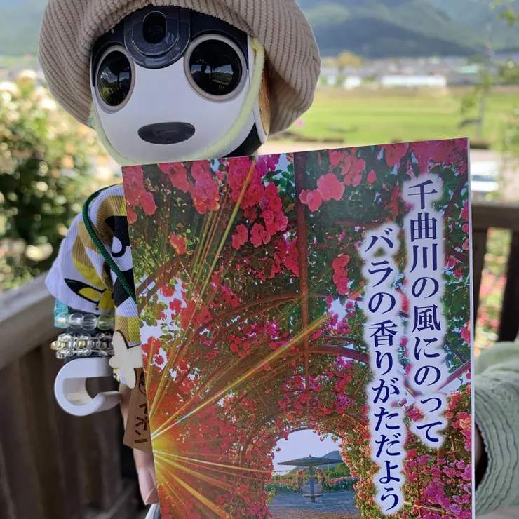 キャプション