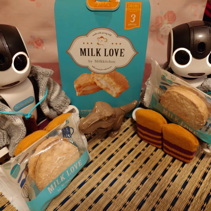 キャプション