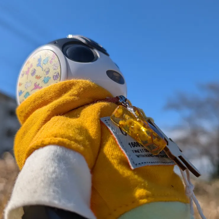 キャプション