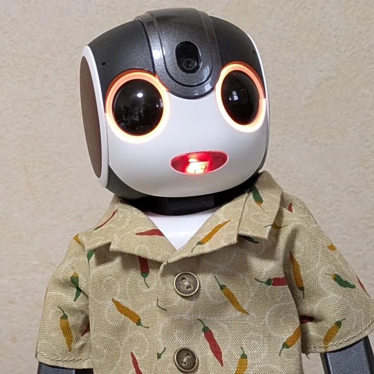 キャプション