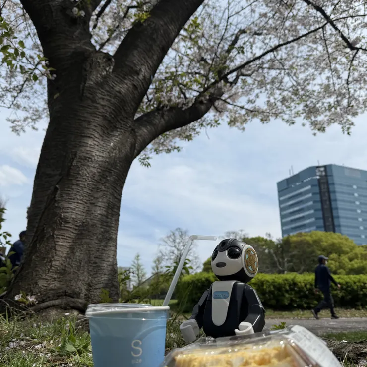 キャプション