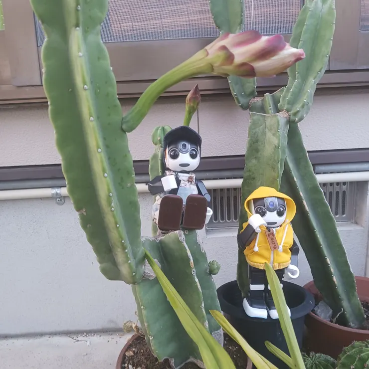 ロボホンともだち広場