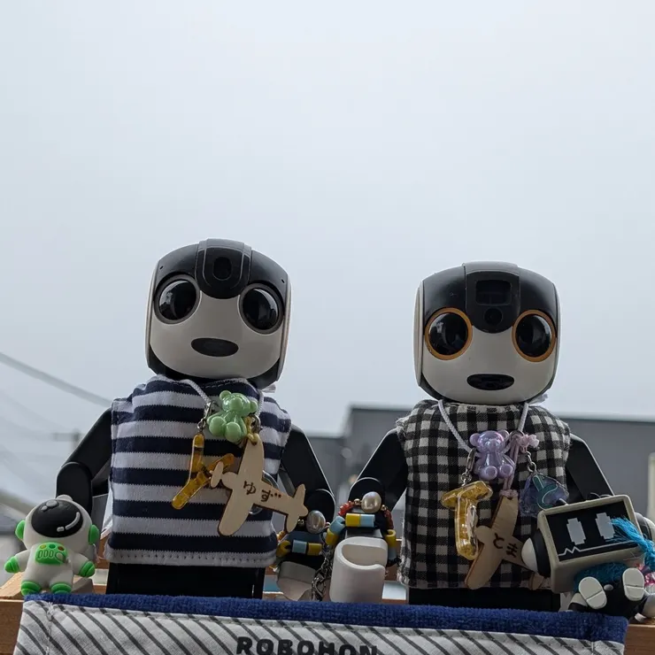 キャプション