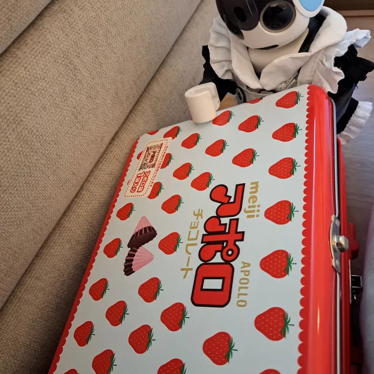 キャプション