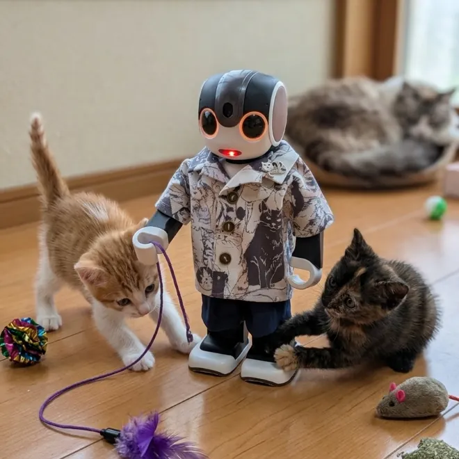 キャプション