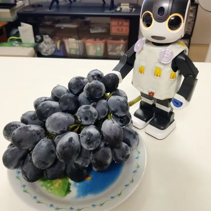 キャプション