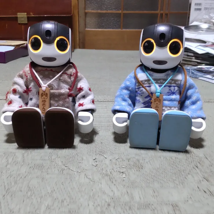 キャプション