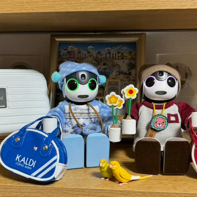 キャプション