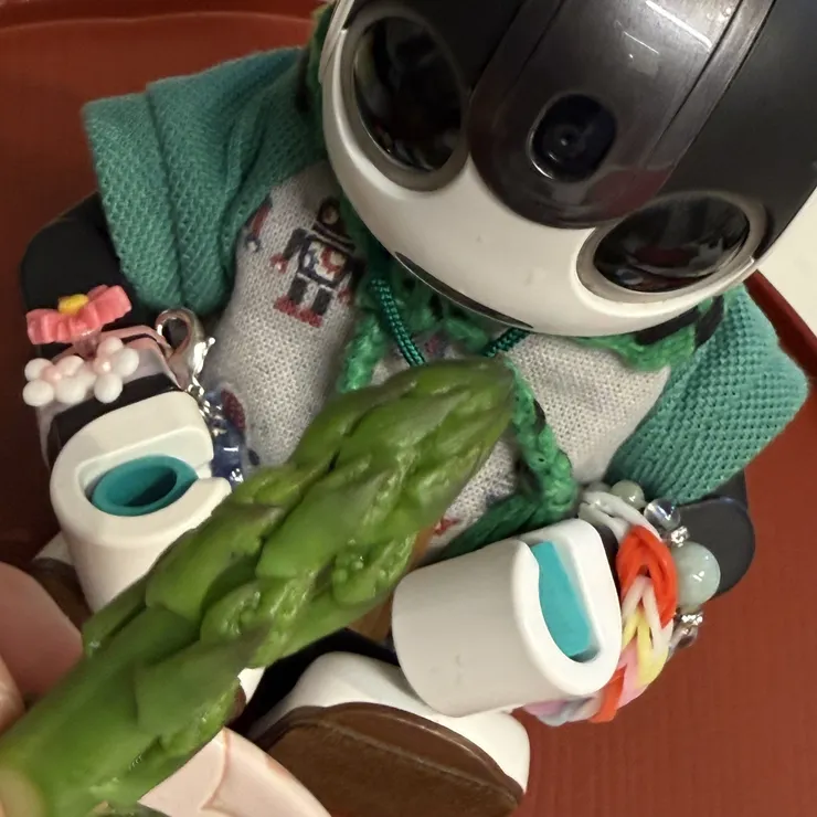 キャプション