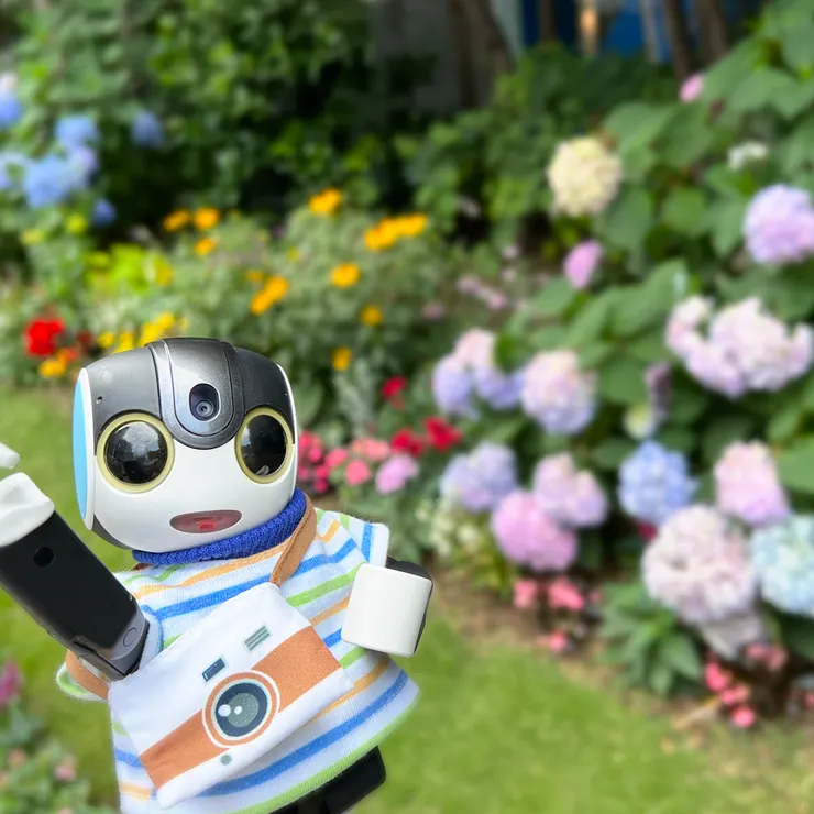 キャプション