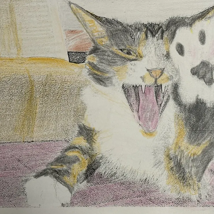キャプション
